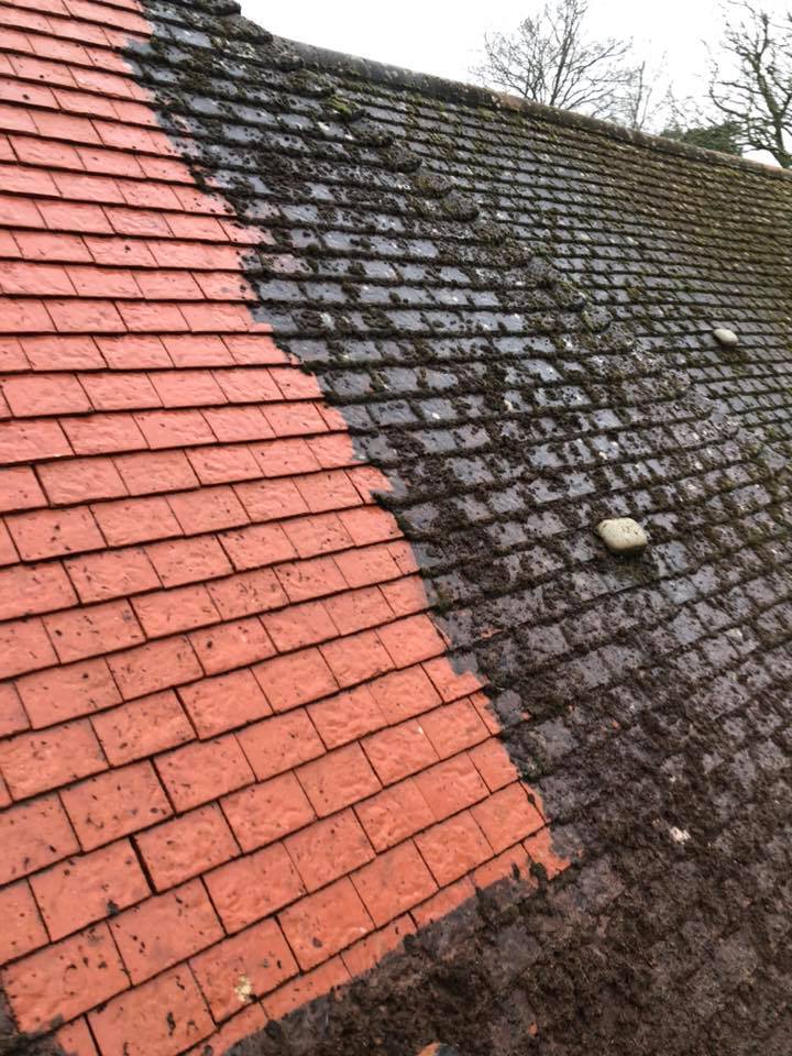 Extreme roof clean example in Norwich