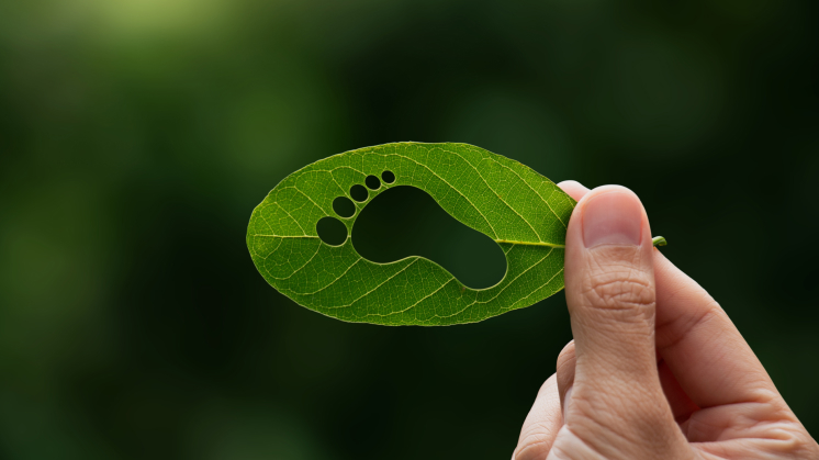 Carbon Footprint