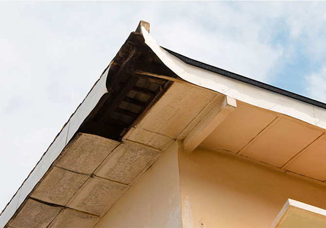 Damaged fascia board that needs repairing